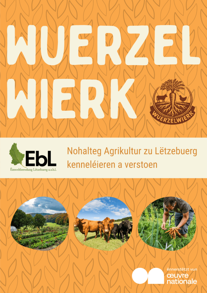 Wuerzelwierk EBL Flyer