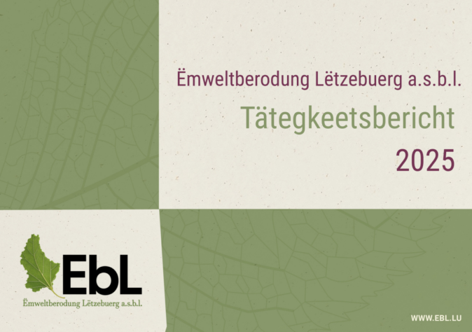 Rapport d'activité EBL 2025