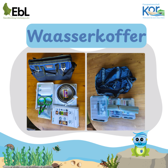 Waasserkoffer EBL